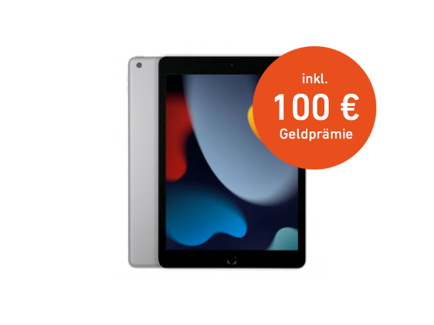 iPad (9.Gen)